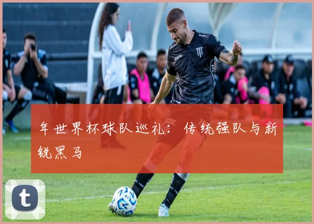 年世界杯球队巡礼：传统强队与新锐黑马